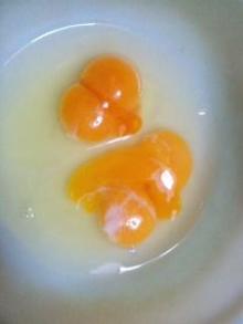 双子の卵
